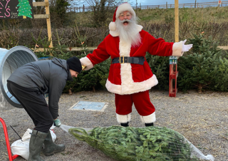 Santa With Tree