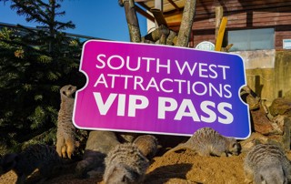 Southwestvip2025 (1 Of 2)