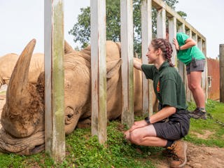 Giraffe & Rhino Encounter  3