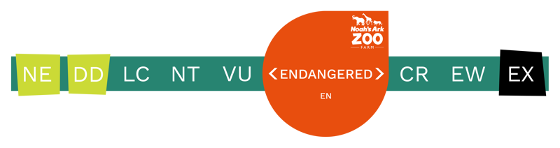 Endangered (Inc. Bar)