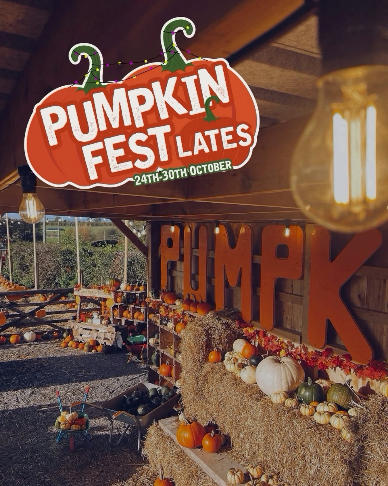 Farm Shop Pumpkin Lates