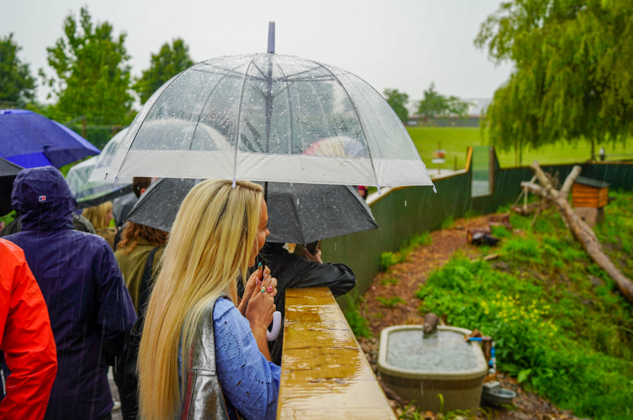 Blonde haired lady looks across a otter habitat holding an umbrella in the rain. 