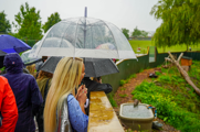 Blonde haired lady looks across a otter habitat holding an umbrella in the rain. 