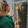  Keeper with blonde and pink hair target training Andean Bear with yellow ball.