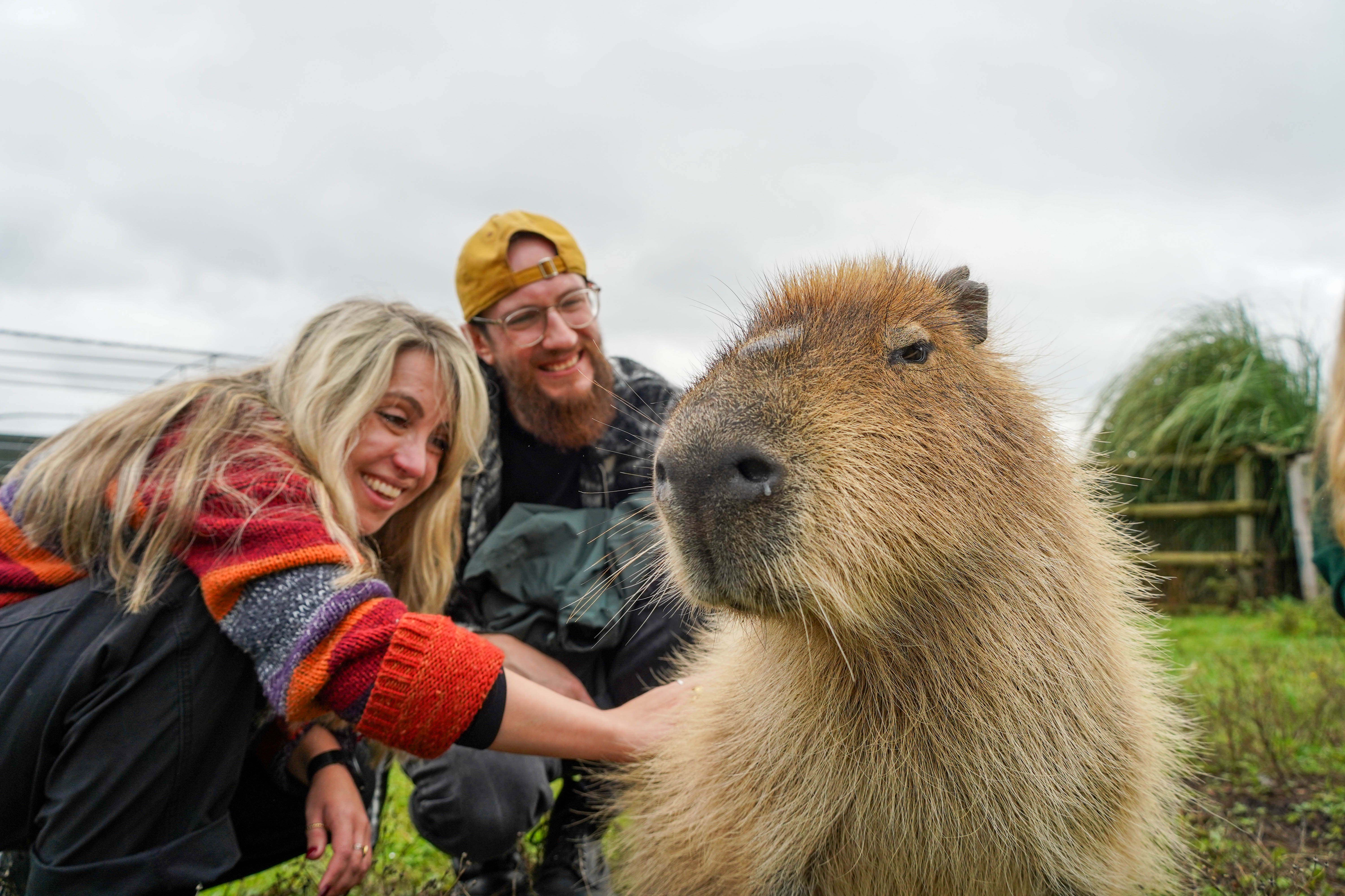 Capybaraencounterseptember2026 (22 Of 26) (1)