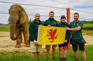 Elephantteamandjanutheafricanbullelephantcelebratesomersetday2025 4